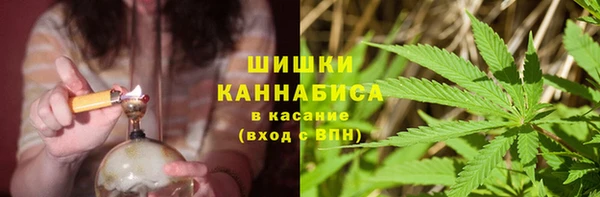 трава Абаза