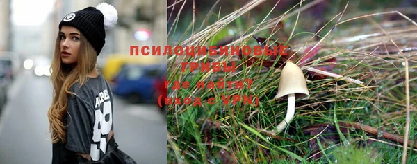 СК Снежинск