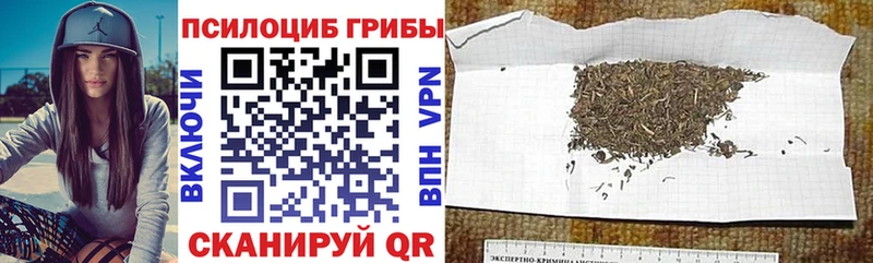 купить наркотик  нарко площадка Telegram  Галлюциногенные грибы MAGIC MUSHROOMS  Касли 